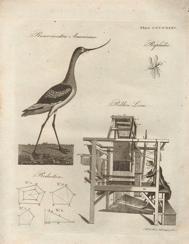 1797 stampa georgiana - 1797,